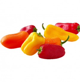 Simply Fresh Fruity Pepper   Box  450 grams